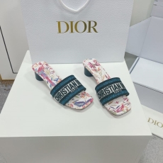 Christian Dior Slippers